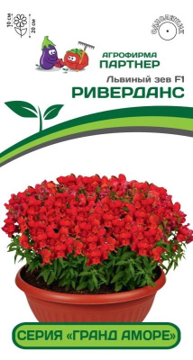 Львиный Зев Гранд Аморе Риверданс 10шт