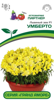 Львиный Зев Гранд Аморе Умберто 10шт