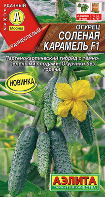 Огурец Соленая карамель 10шт