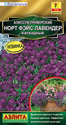 Алиссум Норт фэйс лавендер каскадный 10шт