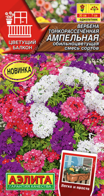 Вербена Ампельная обильноцветущая 30шт