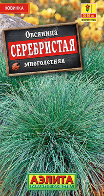 Овсяница Серебристая 5шт