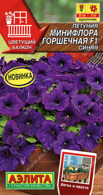 Петуния Минифлора горшечная синяя 5шт