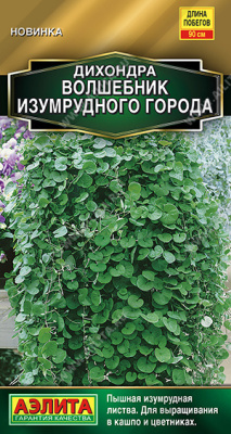 Дихондра Волшебник Изумрудного города 3шт