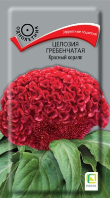 Целозия Красный коралл гребенчатая 0,05г