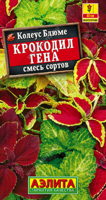 Колеус Крокодил Гена смесь блюме 5шт