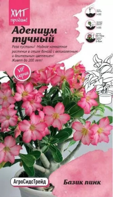 Адениум Базик пинк тучный 3шт АСТ
