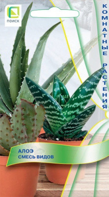 Алоэ Смесь видов 10шт