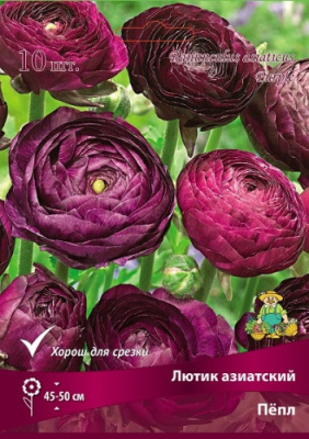 Лютик Пёпл (10 шт)