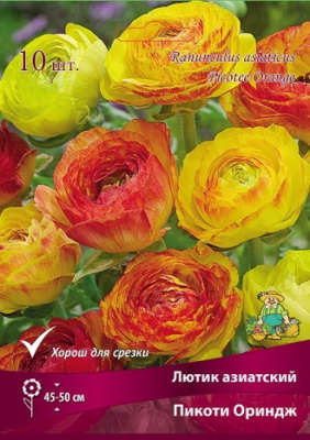 Лютик Пикоти Ориндж (10 шт)