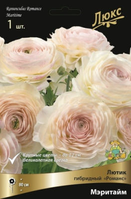 Лютик Романс Мэритайм (1 шт)