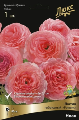 Лютик Романс Ноан (1 шт)