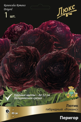 Лютик Романс Перигор (1 шт)