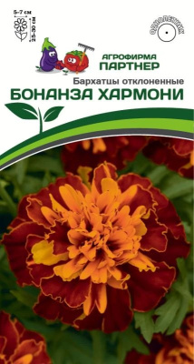 цБархатцы Бонанза хармони откл 10шт