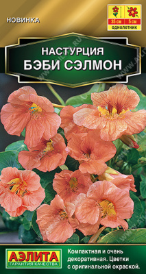 Настурция Бэби сэлмон суперкомпактная 4шт