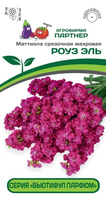 Маттиола Бьютифул Парфюм Роуз Эль 10шт