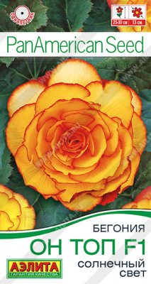 цБегония Он Топ солнечный свет 5шт
