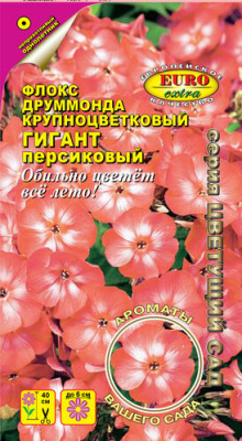 цФлокс Гигант персиковый друмм. 0,1г