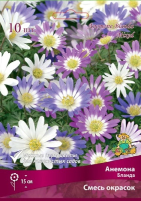 Анемона Бланда смесь окрасок (10 шт)