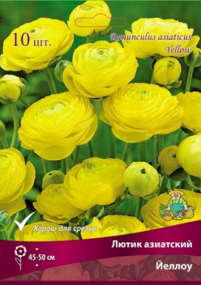 Лютик Йеллоу (10 шт)