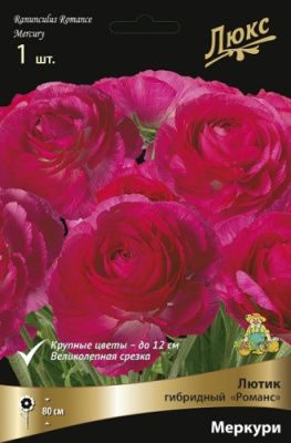 Лютик Романс Меркури (1 шт)