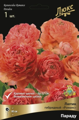 Лютик Романс Параду (1 шт)