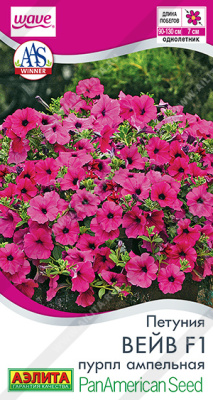 Петуния Вейв пурпл амп. 4шт