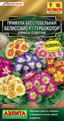 Примула Белиссимо турбоколор 5шт