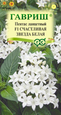 Пентас Счастливая звезда белая 3шт