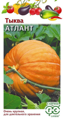 Тыква Атлант 2 г