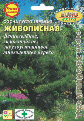 Сосна Живописная густоцветная 0,2г