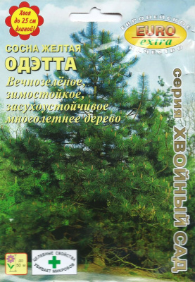 Сосна Одэтта желтая 0,28г