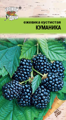 Ежевика Куманика 0,05г