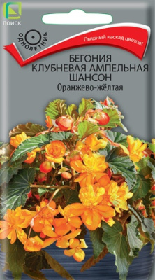 Бегония Шансон Оранжево-желтая 10шт