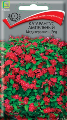 Катарантус Медитерранеан Ред амп. 10шт