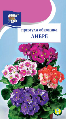 Примула Обконика Либре микс 3шт