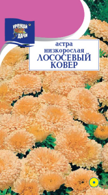 Астра Лососевый ковер низк. 0,2г