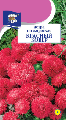 Астра Красный ковер низк. 0,2г