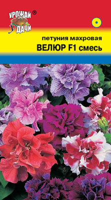 Петуния Велюр махр 10шт
