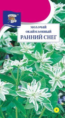 Молочай Ранний снег 0.2г