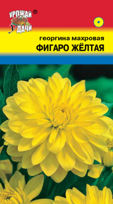 цГеоргина Фигаро желтая 0,05г