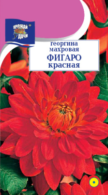 цГеоргина Фигаро красная 0,05г