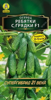 Огурец Ребятки с грядки 10шт