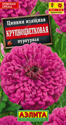 Цинния Крупноцветковая пурпурная 0,3г