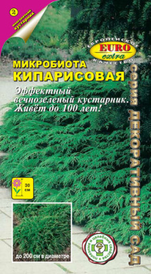цМикробиота кипарисовая