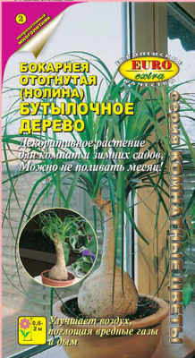 цБокарнея (нолина) Бутылочное дерево