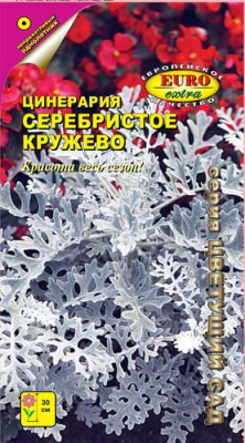 цЦинерария Серебристое кружево 0,1г