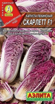Капуста пекинская Скарлетт 5шт