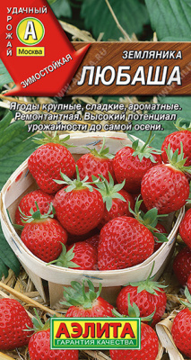 Земляника Любаша 10шт круп. рем.