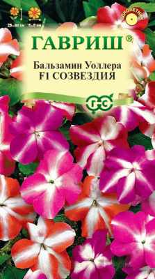 Бальзамин Созвездия смесь (Уоллера) 4шт